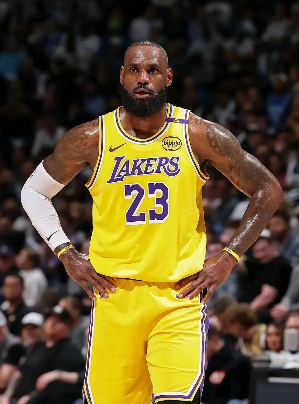 包含今晨洛杉矶湖人备战法国杯；造点机会细节曝光；媒体盛赞；资深球员宣示担当的词条